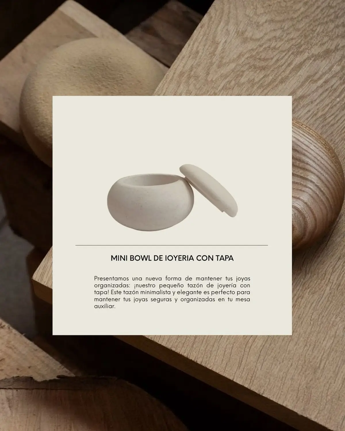 Jia Bảo - Visual Branding 1